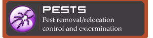 Pest control services